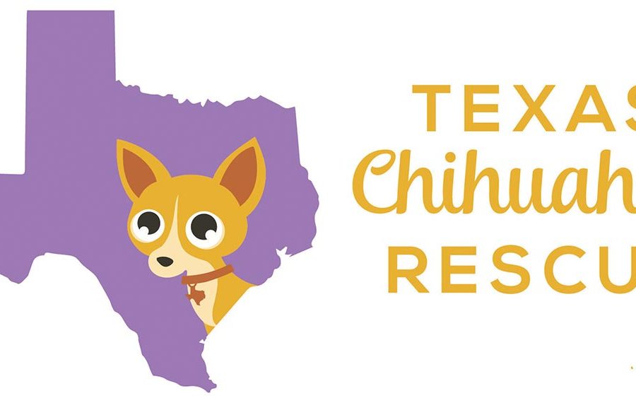Texas Chihuahua Rescue Donation Challenge