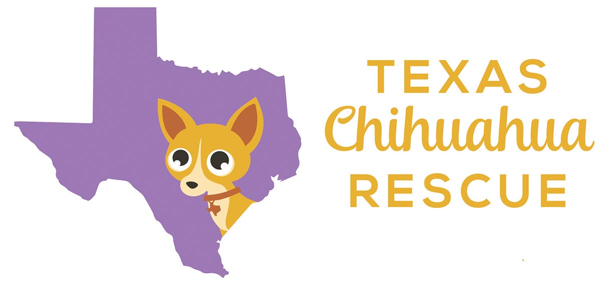 Texas Chihuahua Rescue Donation Challenge